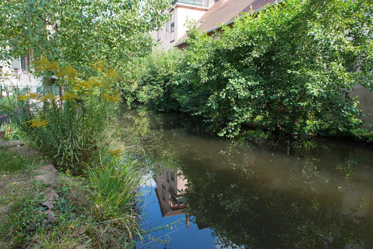 Meuble Le Coin Tranquille Lejlighed Saverne Eksteriør billede